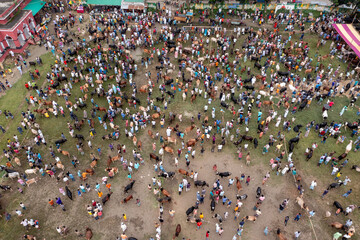 Bogura, Bangladesh - 30 July 2020: Aerial view of a bustling cattle market scene, where people and livestock converge in a vibrant display of commerce and tradition.