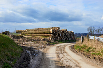 A winding dirt road leads into the distance, passing a substantial stack of freshly cut logs. Under a cloudy sky, this rural landscape evokes themes of forestry, natural resources, and the raw outdoor