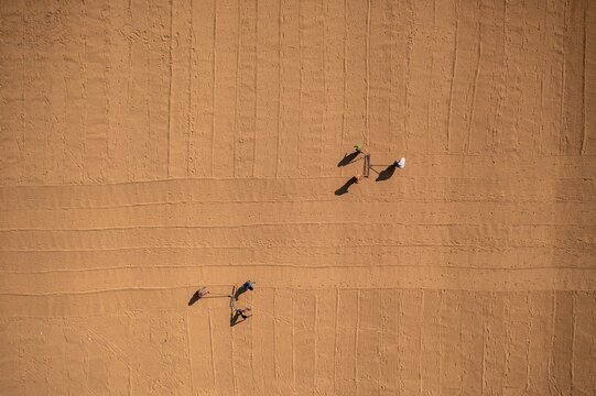 Brahmanbaria, Bangladesh - 29 October 2021: Aerial view of a vast expanse of golden-brown land, etched with parallel lines, where tiny figures cast long shadows under the warm sunlight.