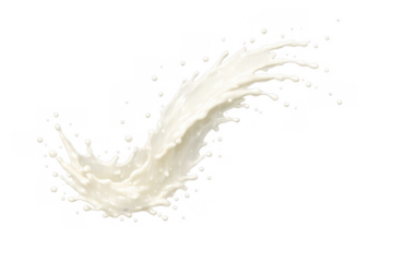 Milk splash creating dynamic wave and droplets, pouring fresh liquid with flowing motion, transparent background