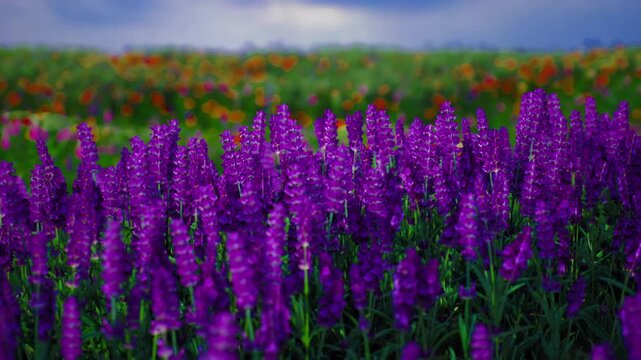 A profusion of purple flowers stands tall in a lush green field, surrounded by a vibrant mix of other blooming plants. The sky hints at an upcoming change, with soft clouds lingering above.
