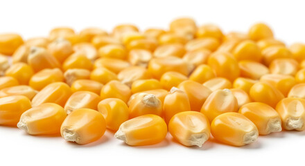 Fototapeta premium Yellow corn kernels isolated on white background with food and agriculture