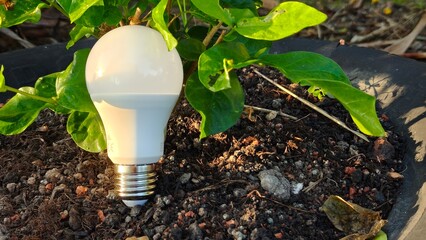 LED bulb in garden soil. Symbol of green energy and sustainable ecology. It represents renewable power, eco-friendly tech, and innovative environmental solutions