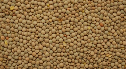 Fototapeta premium Top Down View of Raw Green Lentils Texture, Dry Legumes and Healthy Pulse Grains for Traditional Soup and Plant Based Diet