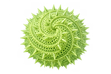 Green microscopic organism or pathogen cell, showing detailed spiky surface and spiral patterns on a transparent background