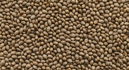 Fototapeta premium Seamless Texture of Raw Hemp Seeds, Top View Macro Shot of Organic Cannabis Grains for Healthy Food Packaging and Nutrition Backgrounds