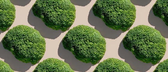 Modern Broccoli Pattern on Pastel Pink Background Vibrant Green Vegetable Repetition for Marketing Content and Healthy Lifestyle Advertising