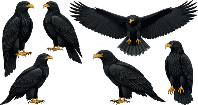 Set of black eagle characters, flat vector illustration of majestic predatory birds in various poses including flying and perched