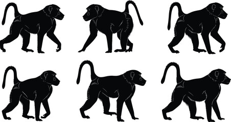 Baboon monkey silhouettes, wild primate walking poses, African animal vector set, jungle wildlife collection, black isolated illustration pack © Mst
