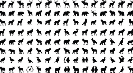 Wild animal silhouette collection, forest mammals and birds, bears wolves deer penguins icons, nature wildlife illustration, black vector set © Mst