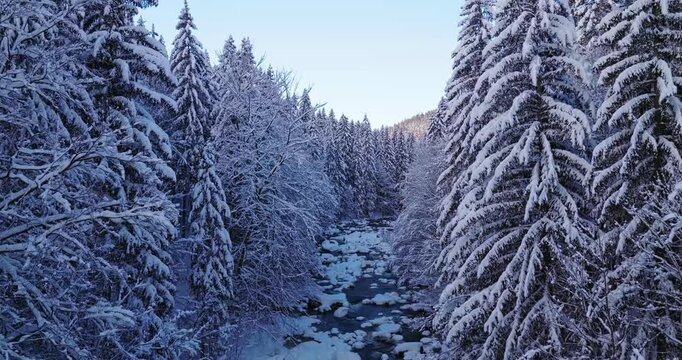 Peaceful flight over a snow-covered alpine stream. Flowing icy water, frozen rocks, and fresh snow create a calm winter atmosphere ideal for relaxation, meditation, and nature visuals.