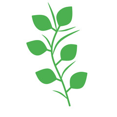 Simple green leafy branch