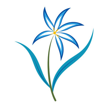dianella caerulea vector colorful on white background 