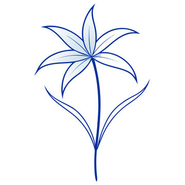 dianella caerulea line art on white background 