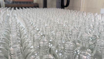 Empty glass bottles arranged on a production line in a large factory
