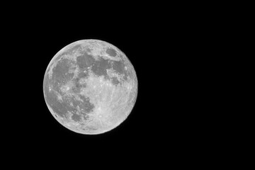 Fototapeta premium Detailed full moon isolated against deep black night sky