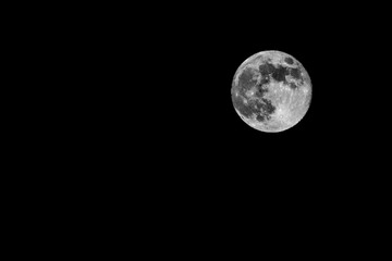 Full Moon Isolated on Black Night Sky with Copy Space © AdobeTim82