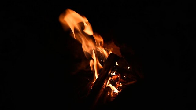 Campfire Burning at Night, Warm Fire Flames in Dark Outdoor Scene