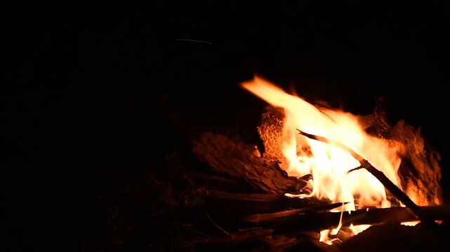 Campfire Burning at Night, Warm Fire Flames in Dark Outdoor Scene
