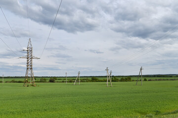 Power lines in a green field, Russia