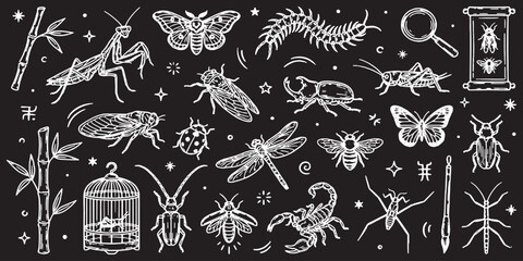 Collection of hand-drawn insects and arthropods on a black background, including a praying mantis, butterfly, bee, scorpion, and dragonfly. © Riki