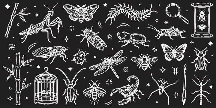 Collection of hand-drawn insects and arthropods on a black background, including a praying mantis, butterfly, bee, scorpion, and dragonfly.