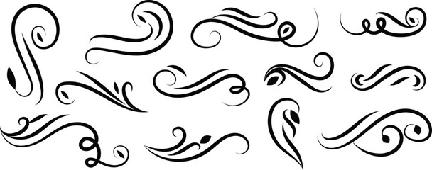 Collection of elegant black swirling calligraphy flourishes and decorative elements © Akter