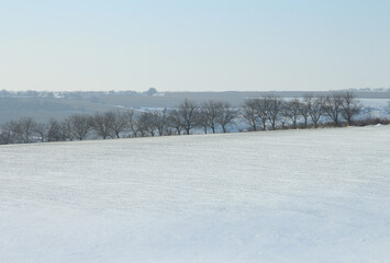 A snowy field with trees and a snowy landscape