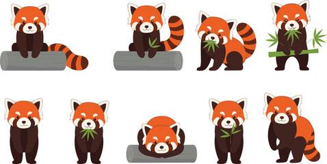 Cute red panda character set eating bamboo sitting standing poses cartoon forest animal mascot vector illustration © Sumon Creative