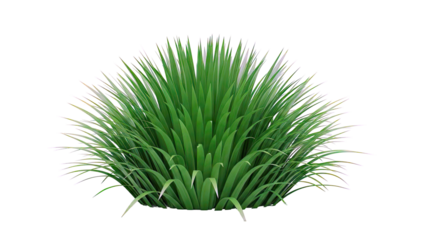 Lush Green Bushy Grass Clump