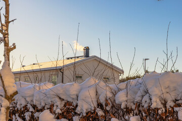Beautiful view of snow covered garden hedge with house roof and chimney in winter sunrise light against blue sky. Sweden.