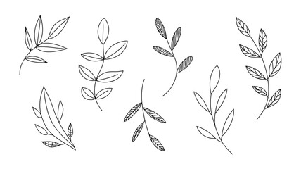 Fototapeta premium Hand drawn black and white simple botanical leaf branches for natural design elements
