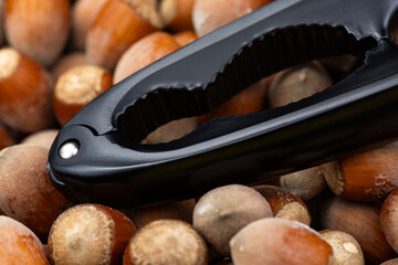 A black nutcracker and many hazelnuts. The nutcracker is arranged against a background of hazelnuts.