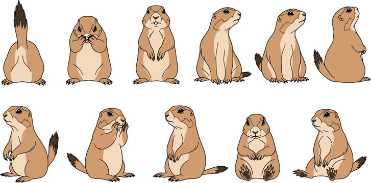 Prairie dog character animation set with multiple standing sitting side view poses cute cartoon rodent vector illustration
