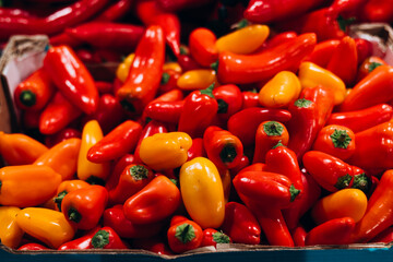 Mini sweet peppers box top view colorful fresh vegetables.