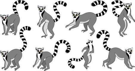Ring tailed lemur character animation set with walking jumping climbing poses cartoon tropical animal vector illustration © Sumon Creative