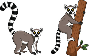 Ring tailed lemur character set with standing and climbing poses cartoon tropical wildlife animal vector illustration