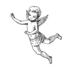 Vector hand-drawn illustration of a cupid in engraving style. Sketch of little angel for Valentine's Day design.