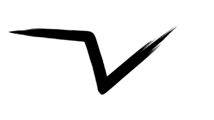 Black checkmark icon isolated on transparent background