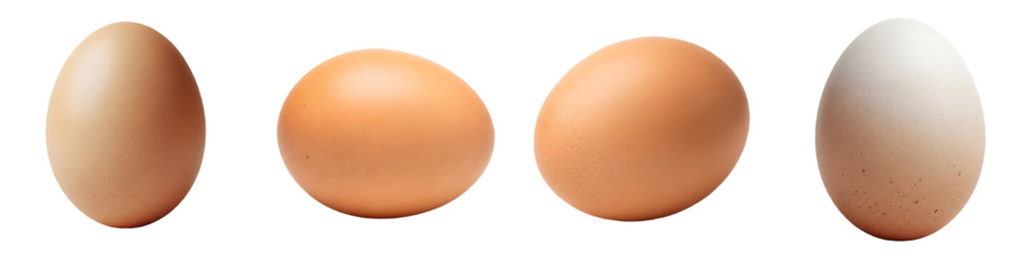 high quality stock collection of eggs on white background stock file PNG,