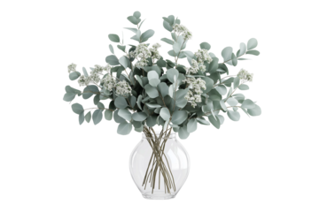 Australian Native Eucalyptus Bouquet in Clear Glass Vase Isolated on Transparent Background Elegant Floral Decor