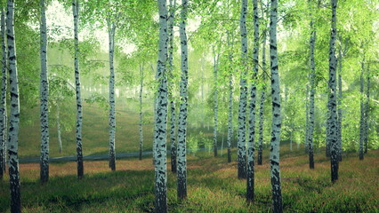 Obraz premium Morning light filters through vibrant green leaves in a peaceful forest filled with graceful birch trees. The tranquil atmosphere invites a sense of calm and connection with nature.