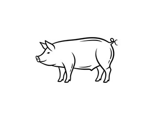 Fototapeta premium Simple line drawing of a pig