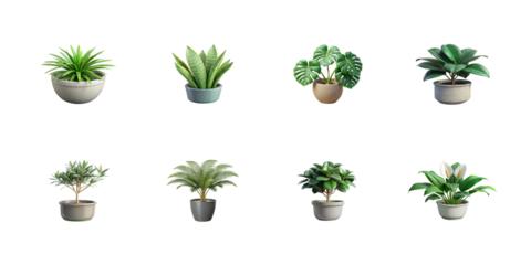 Collection of eight different potted house plants featuring tropical foliage and decorative containers on transparent background