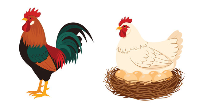 Farm scene illustration featuring a proud rooster standing beside a white hen brooding over a nest of several eggs on white.