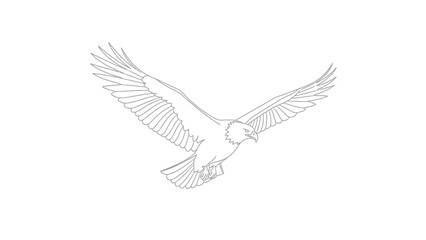 Fototapeta premium Graceful line art illustration of a bald eagle in flight with outstretched wings, isolated white background.
