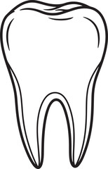 Black and White Vector Illustration of Human Molar Tooth Anatomy &ndash; Dental Education, Oral Health Awareness, Medical Icon for Dentistry and Anatomy Studies