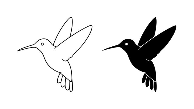 Two detailed hummingbird illustrations in outline and silhouette flying left on white background with icon with graphic