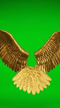 Golden Wings on Green Screen - This video features a set of three large, ornate golden wings against a vibrant green screen background.