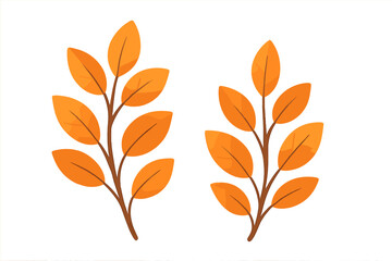 Bright orange leaves on branches set against a plain white background during autumn season